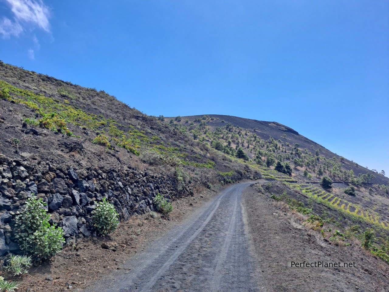 Camino a volcán Teneguía Gr131