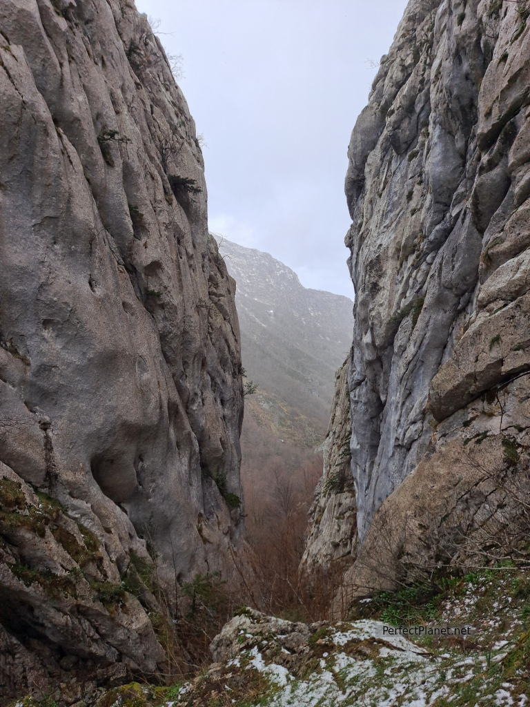 Foz de Melordaña