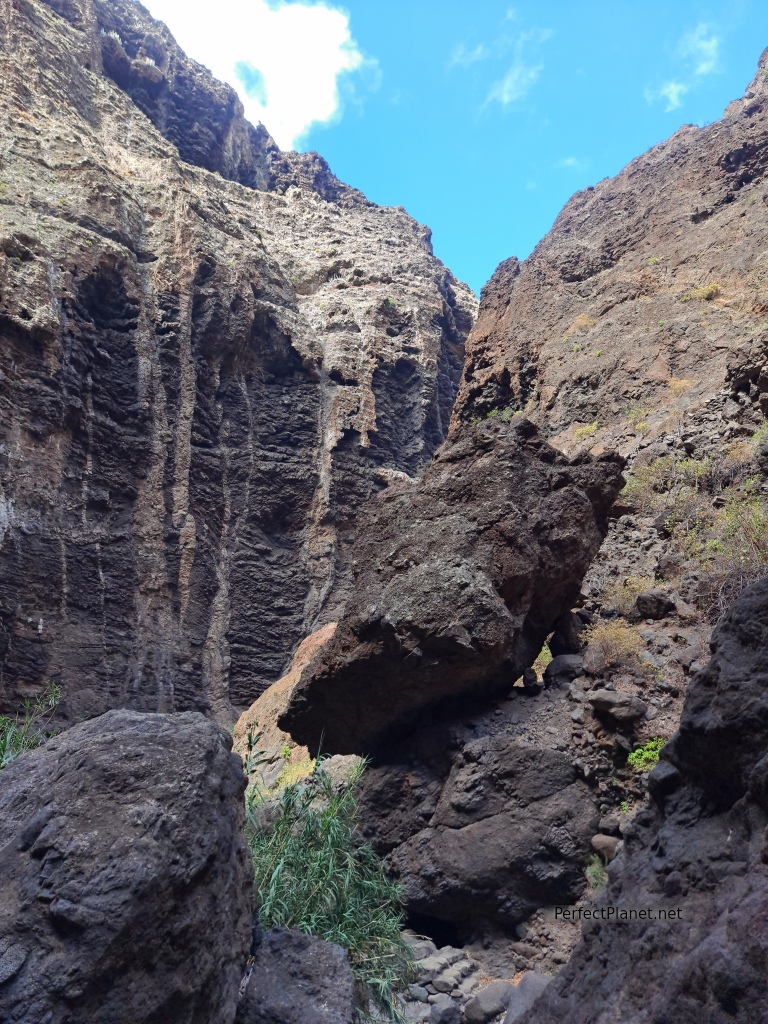 Barranco de Masca