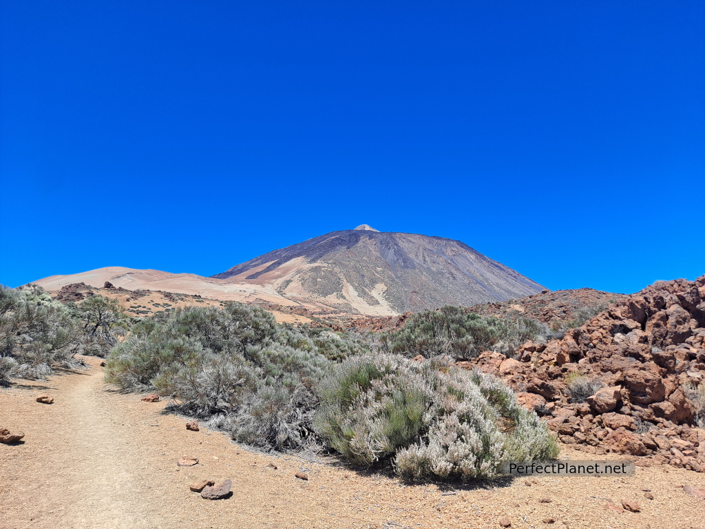 Teide