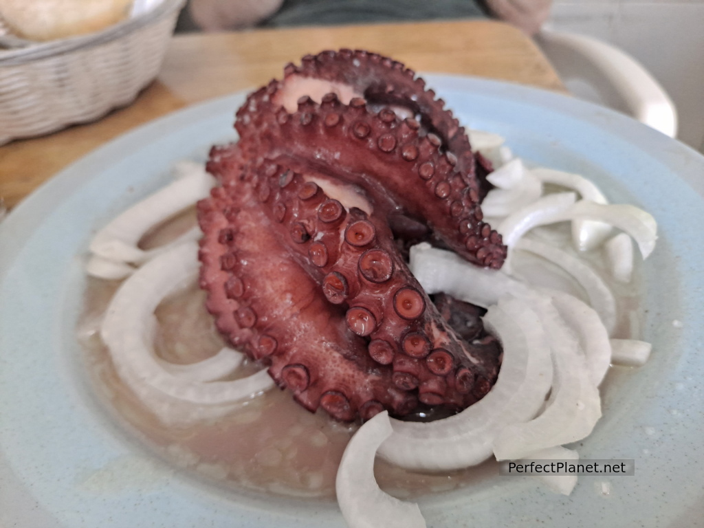 Pulpo