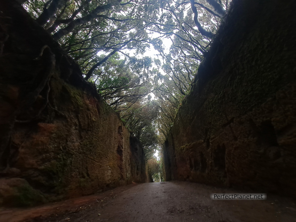 Old road to Pico del Inglés viewpoint