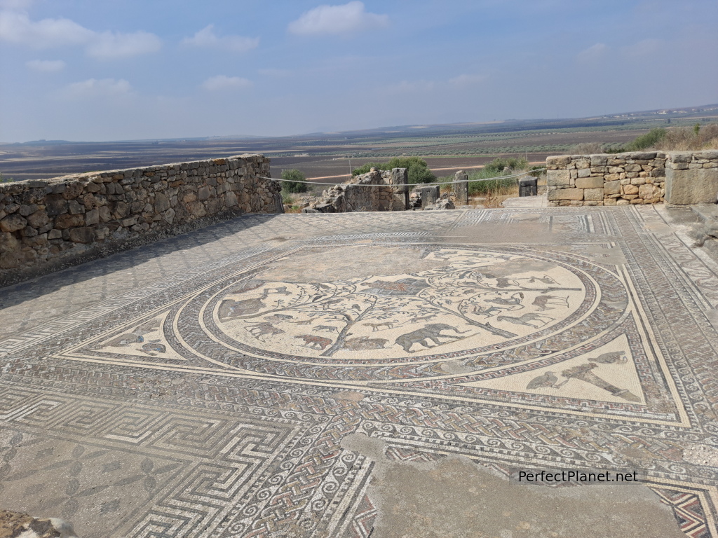 Volubilis