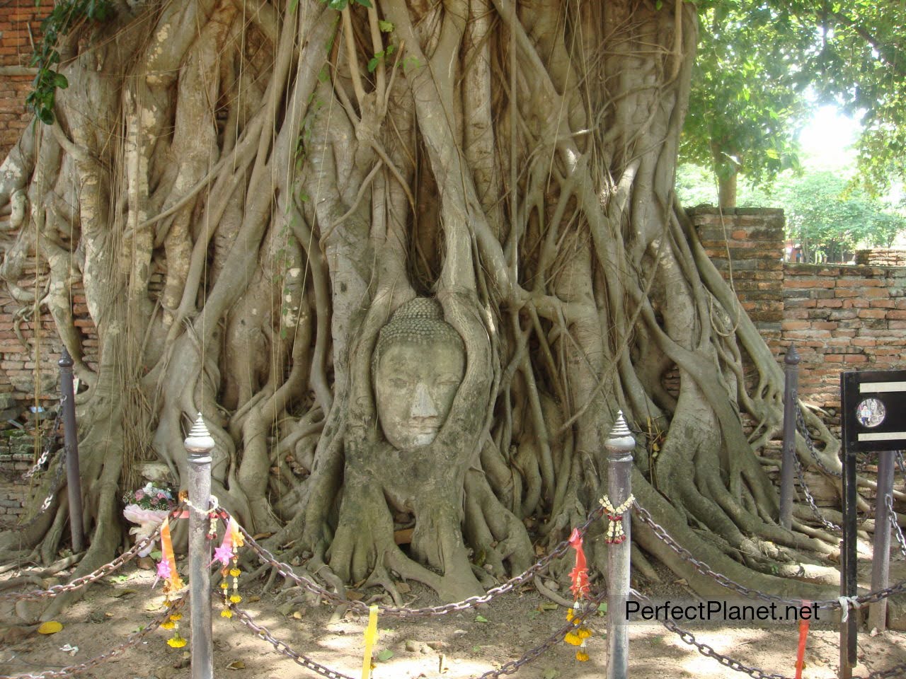 Buddha in Wat Phra Mahathat