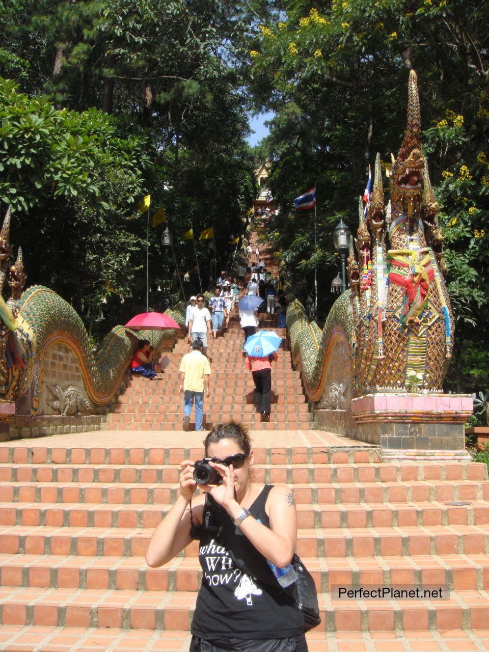Stairs to Wat Phra That Doi Suthep