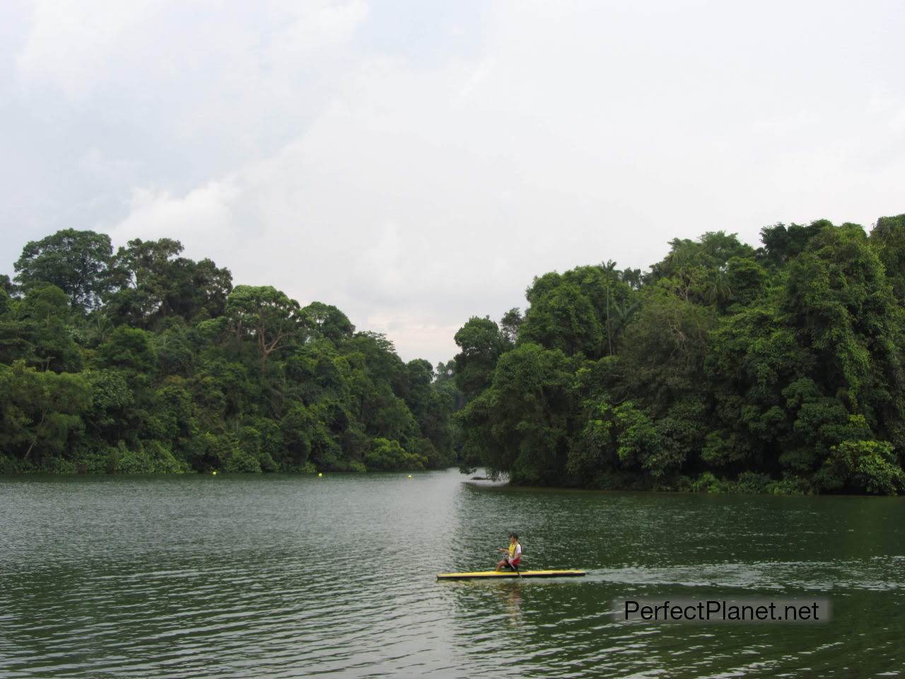 Reserva Natural Bukit Timah