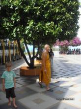 Monk in Wat Phra That Doi Suthep