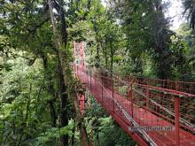 Reserva biológica de Bosque Nuboso de Monteverde