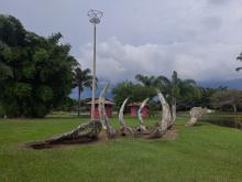 Parque de la Sabana