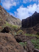 Barranco de Masca