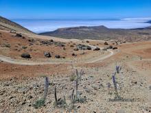 Parque Nacional del Teide