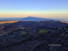 Teide