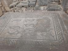 Volubilis